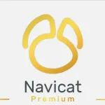 Navicat Premium 15下载地址及安装教程